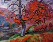 阿曼吉约曼 - Echo Rock